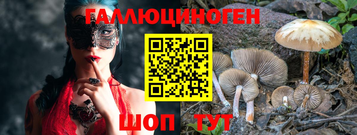 Псилоцибиновые грибы MAGIC MUSHROOMS  Галлюциногенные грибы GOLDEN TEACHER  Лысьва  Вход с VPN 